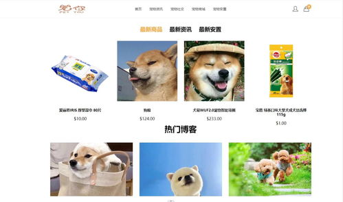 宠物服务网站的设计与实现