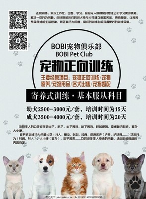 宠爱无限，服务无忧——新店开业，专为爱宠而来！